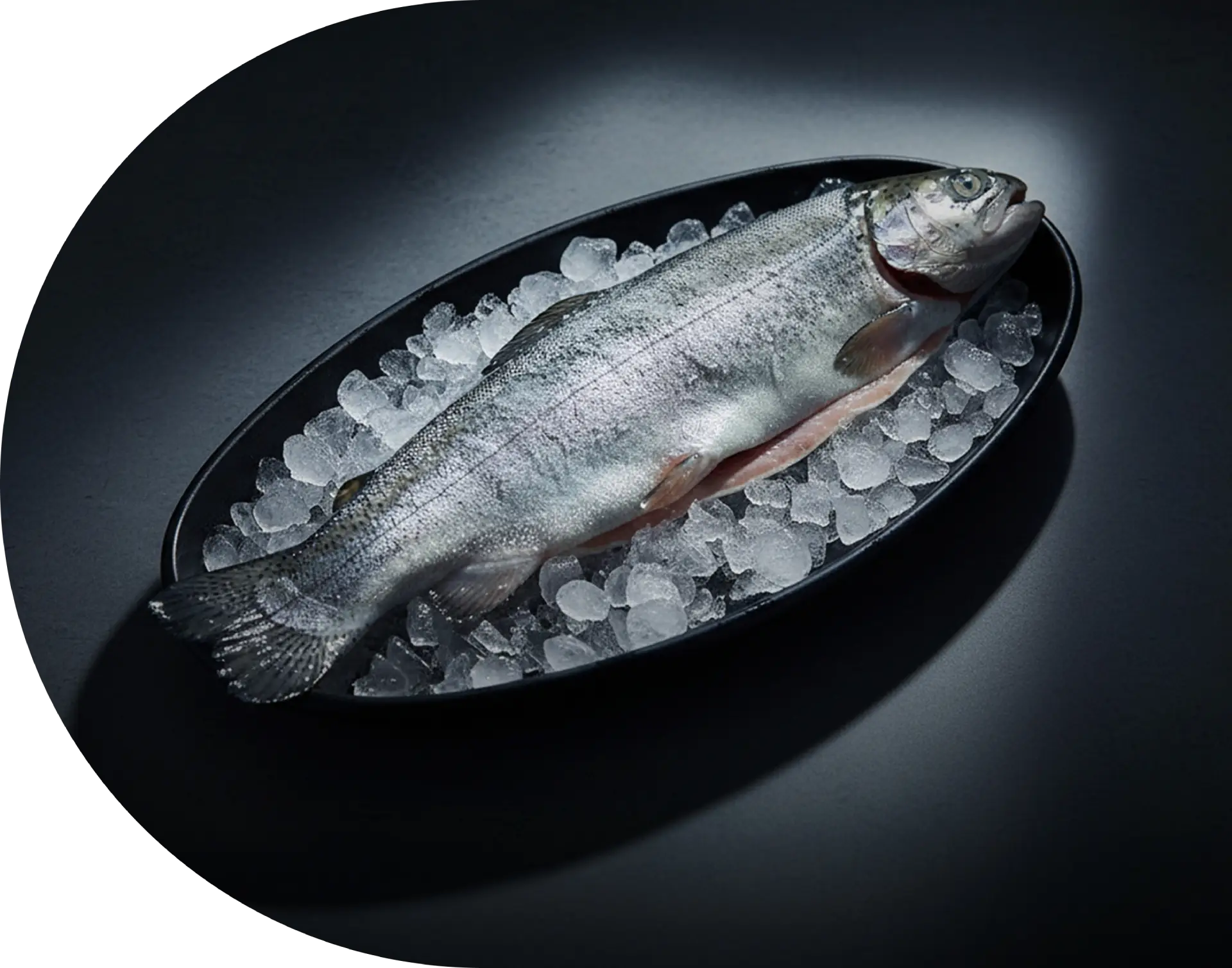 Gutted Chilled Trout